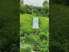 กรงแมลง กรงแมลง กรงเบ็ด หนอนกองทัพในข้าวโพด กะหล่ํา หนอนบรอคโคลี่ กรง