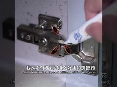 ยาฆ่าแมลงชีวภาพ เจลเหยื่อกำจัดแมลงสาบ ตัวเต็มวัย ตัวอ่อน ไข่ กำจัดแมลงสาบ