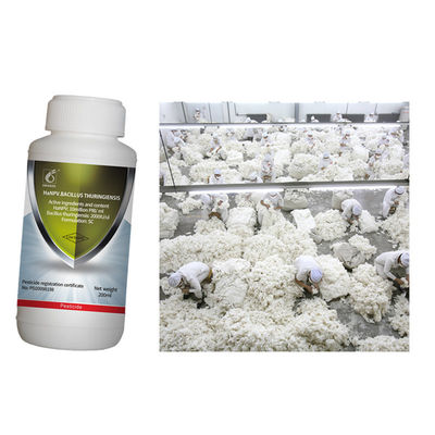 Biological pesticide eliminate cotton tobacco chili pests insects excellent long lasting effect 