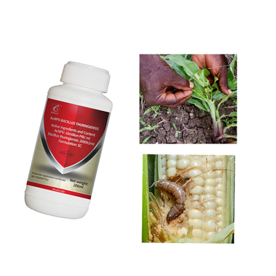 Virus Pesticide Agriculture Biological 10 Million PIB/mL AcNPV 2000IU/mL Bt Eliminate Vegetable Spodoptera Litura Larvae
