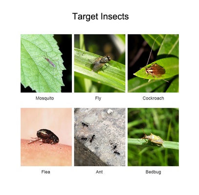 Insecticide 1.5% Natural Pyrethrin Extract Active Component with Insecticidal Effect