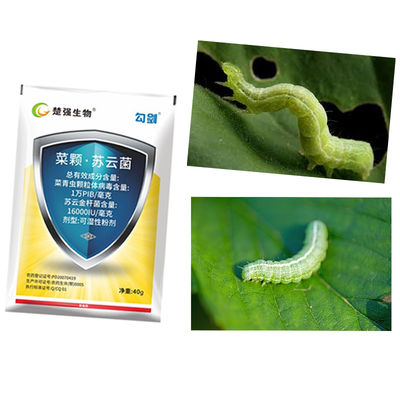 Organic Bacillus Thuringiensis Insecticide for Lepidoptera Pests