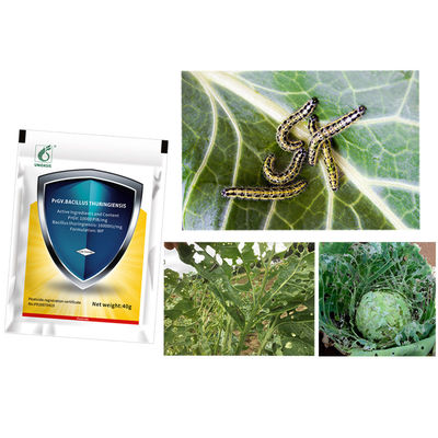 PrGV 0.2% Bt Biological Vegetable NPV Insecticides Kill Tomato Plant Bug Cabbage Worm