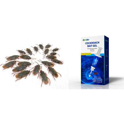 Powerful Killing Microbial Insecticide Roach Miraculous Good Luring Effect 