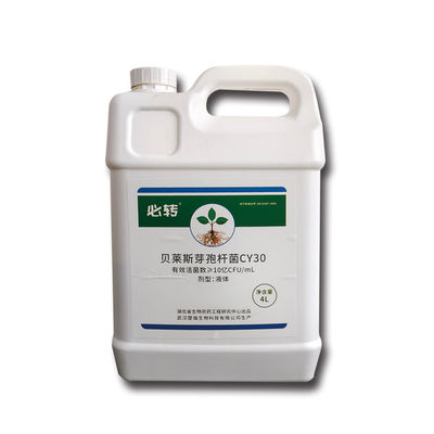 Various customized specifications Fungicide Bacillus Velezensis Improve Soil Microbial Flor CY30