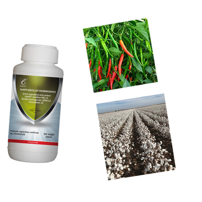 Outstanding resistance to stubborn pests organic pesticide cotton collworm control