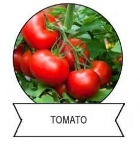 Organic certification insecticide excellent control of beet armyworm vegetable crop pests management