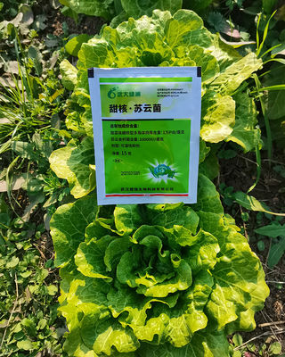 Professional biological pesticide for killing vegetable lepidoptera pests SeNPV cost-effective
